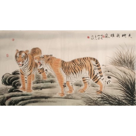Tiger - CNAG001993