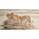 Tiger - CNAG001994