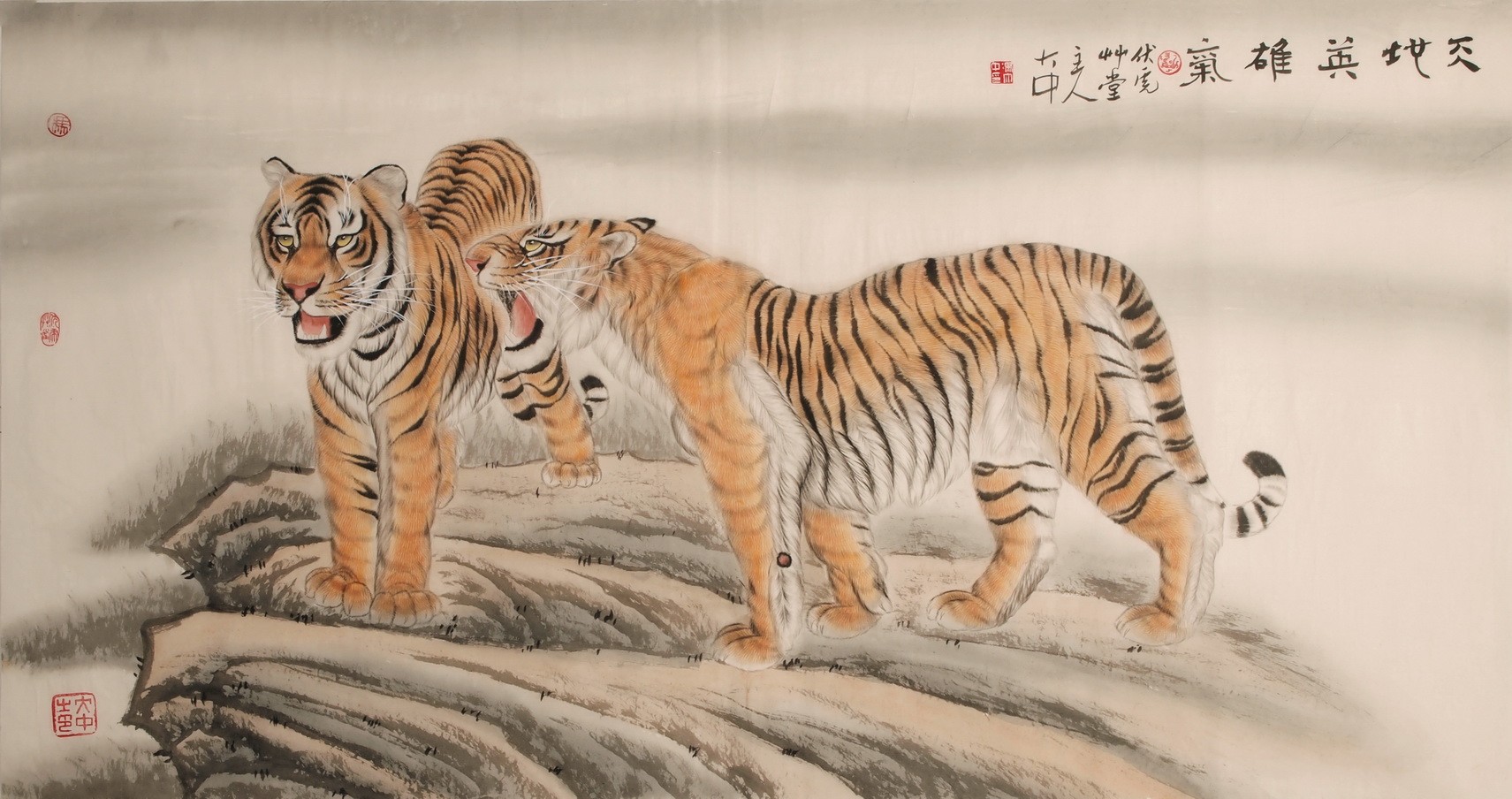Tiger - CNAG001994