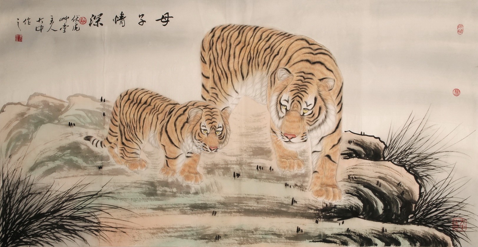 Tiger - CNAG001995