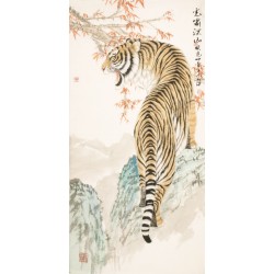 Tiger - CNAG000002