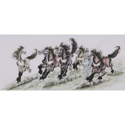 Horse - CNAG002012