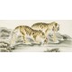 Tiger - CNAG002032