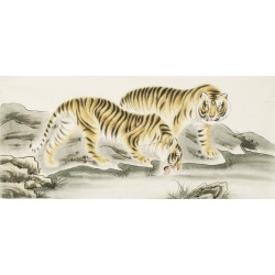 Tiger - CNAG002032