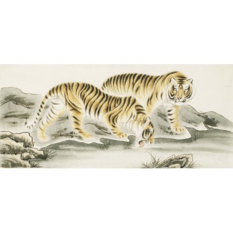 Tiger - CNAG002032