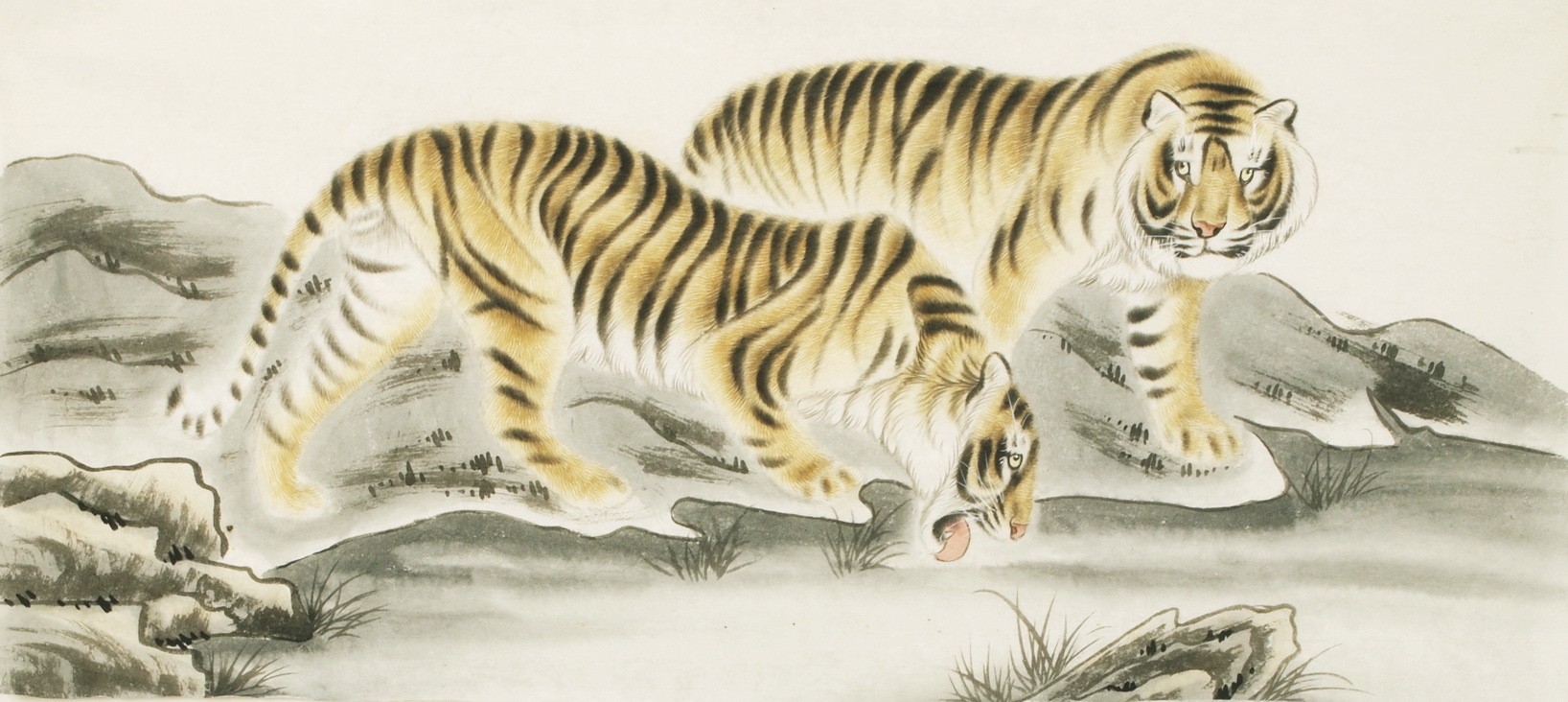 Tiger - CNAG002032