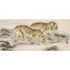 Tiger - CNAG002034