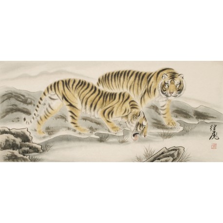 Tiger - CNAG002034