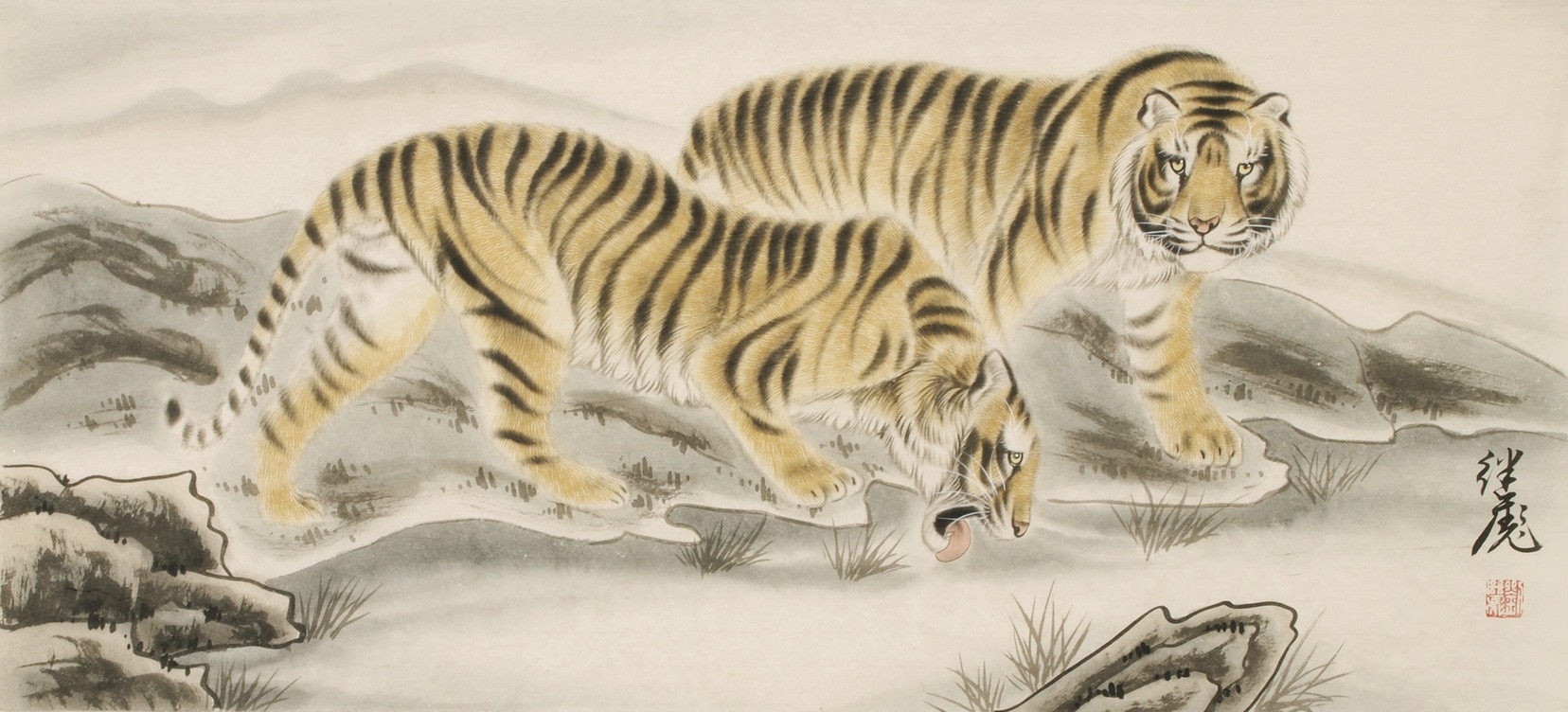 Tiger - CNAG002034