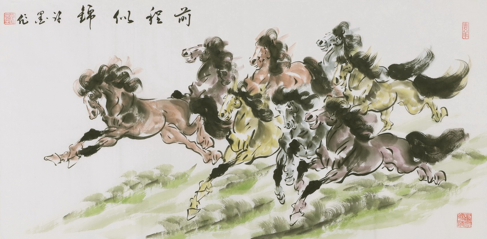 Horse - CNAG002045