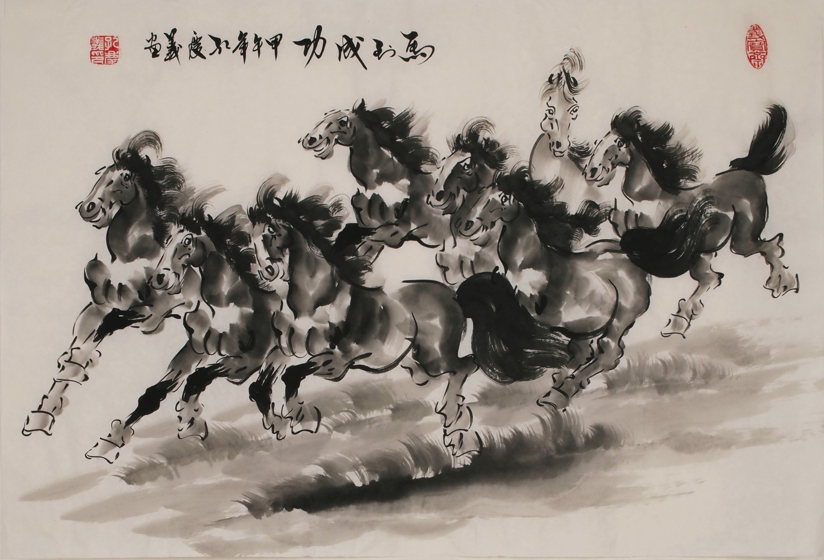 Horse - CNAG002057