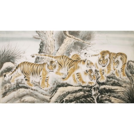 Tiger - CNAG002059