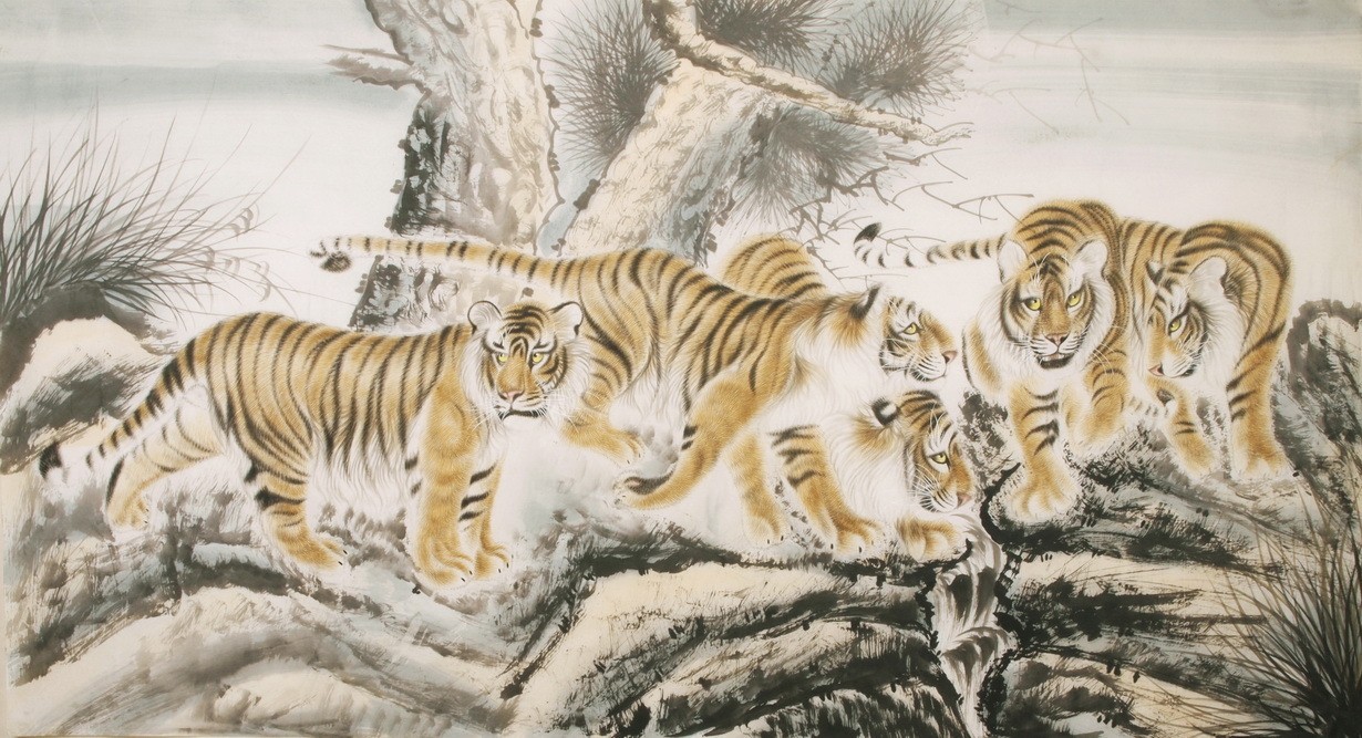 Tiger - CNAG002059