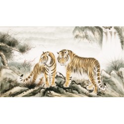 Tiger - CNAG002060