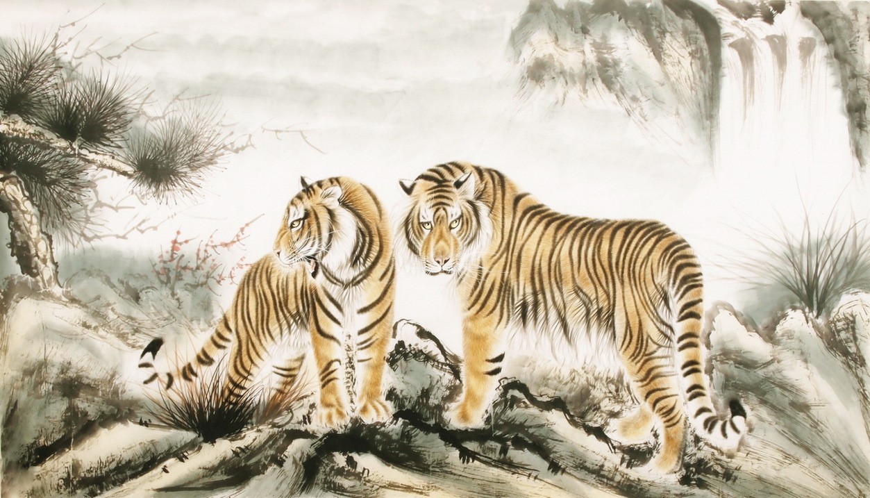 Tiger - CNAG002060