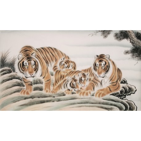 Tiger - CNAG002093