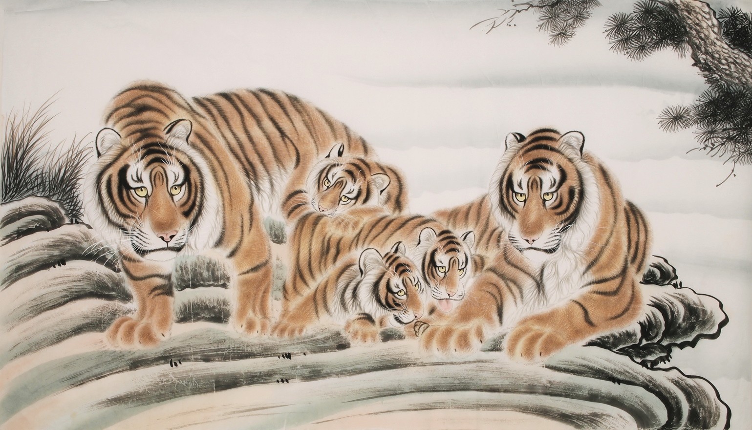 Tiger - CNAG002093