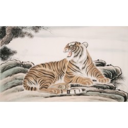 Tiger - CNAG002094