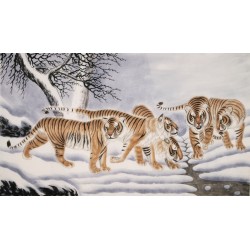 Tiger - CNAG002099