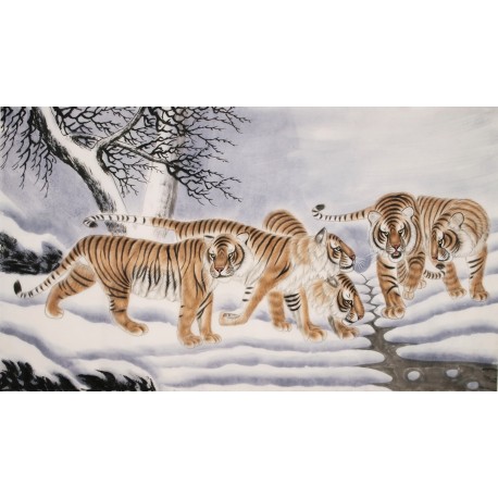 Tiger - CNAG002099