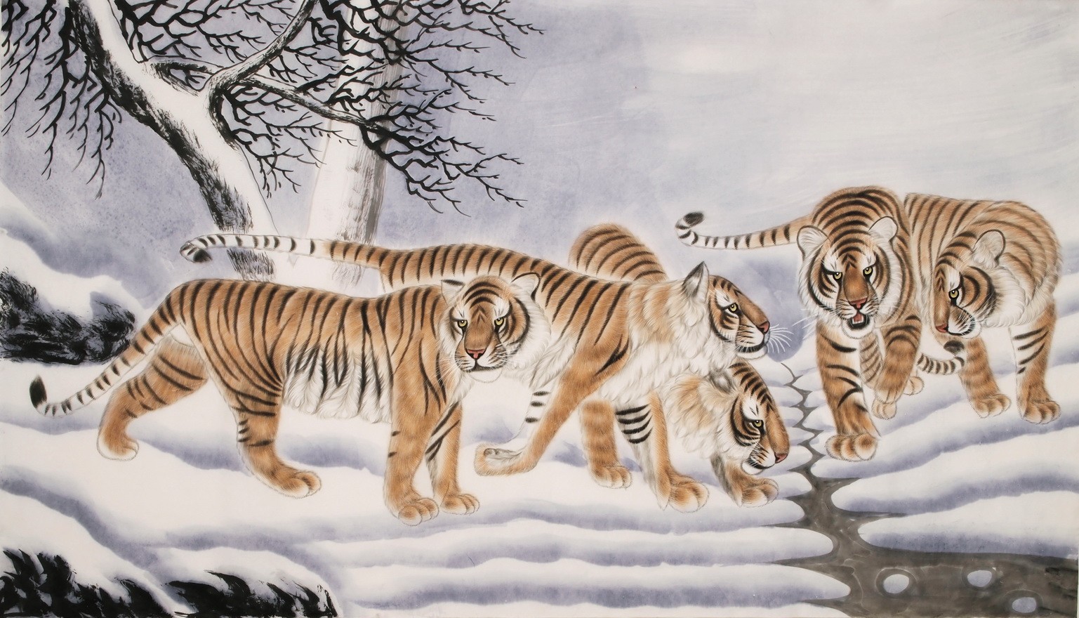 Tiger - CNAG002099
