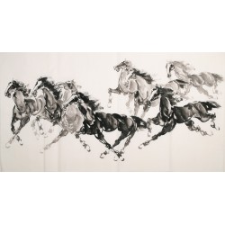 Horse - CNAG002117