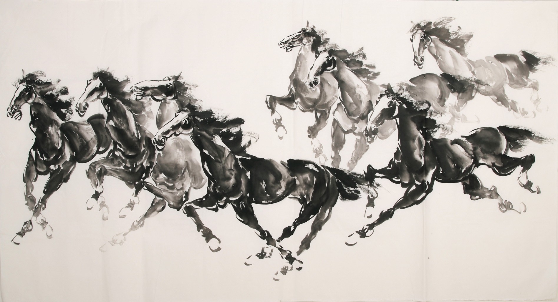 Horse - CNAG002119
