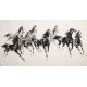 Horse - CNAG002120