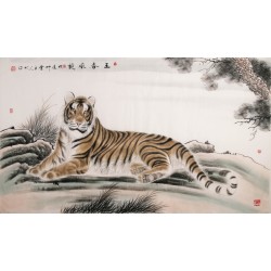 Tiger - CNAG002121