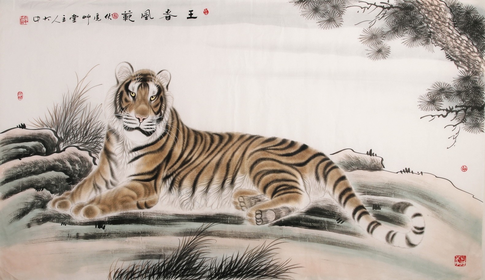 Tiger - CNAG002121