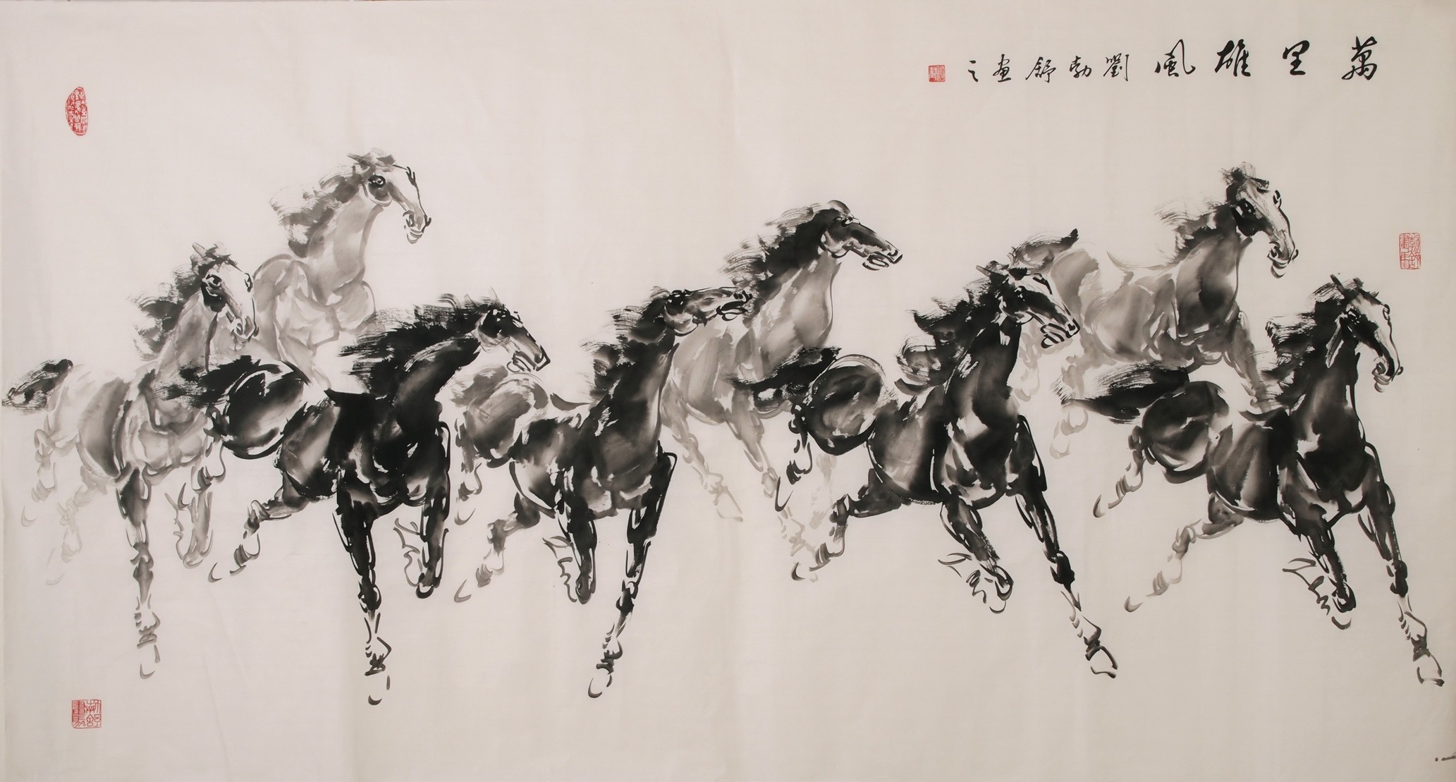 Horse - CNAG002125