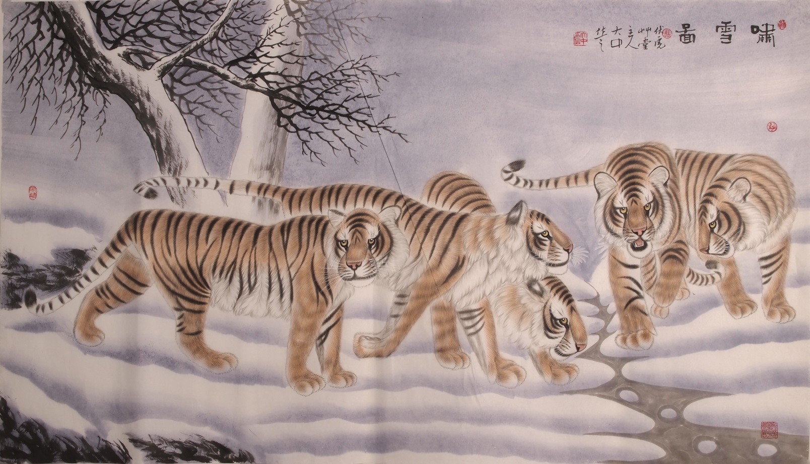 Tiger - CNAG002126