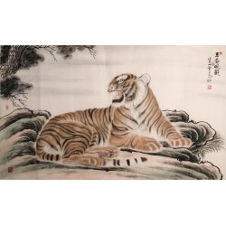 Tiger - CNAG002129