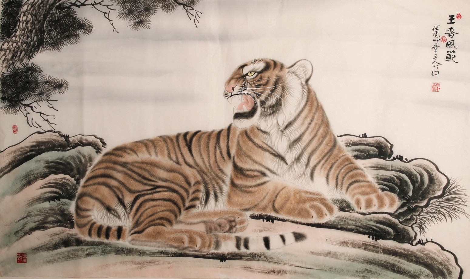 Tiger - CNAG002129