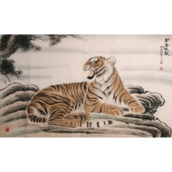 Tiger - CNAG002130
