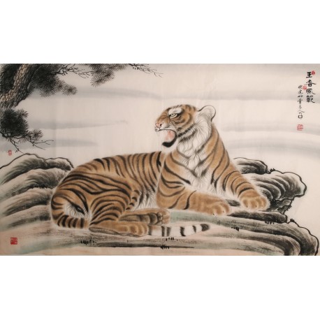 Tiger - CNAG002130