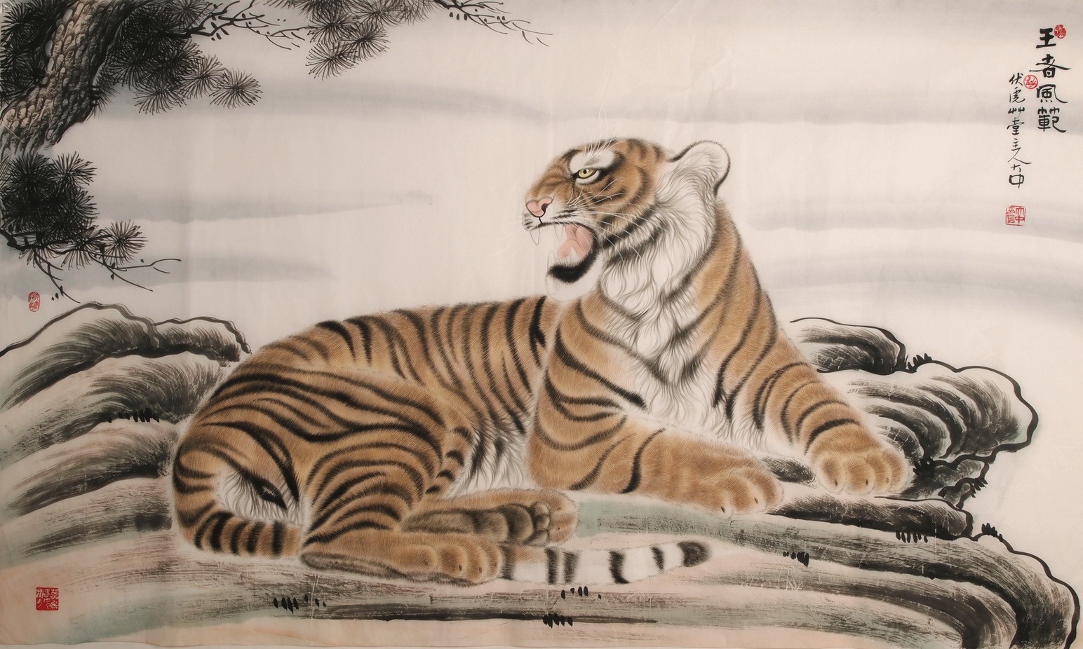 Tiger - CNAG002130