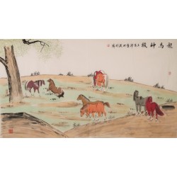 Horse - CNAG002131