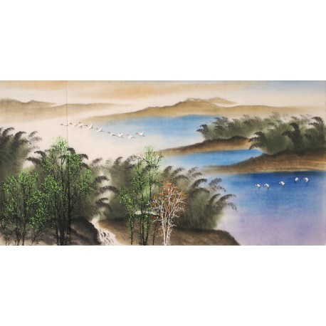 Aquarene - CNAG002136