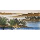 Aquarene - CNAG002140