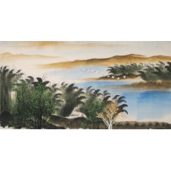 Aquarene - CNAG002141