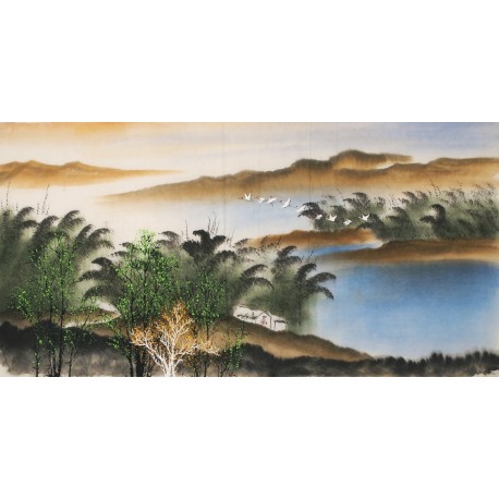 Aquarene - CNAG002144