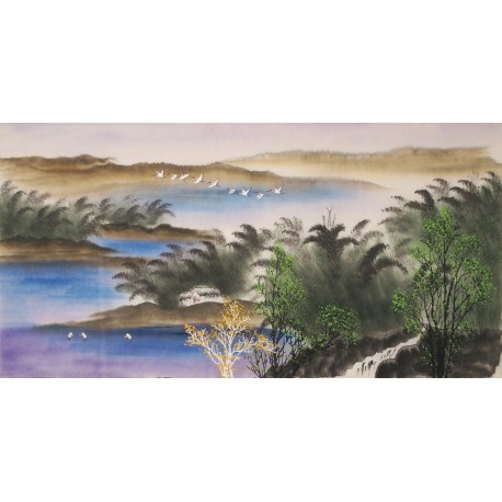Aquarene - CNAG002149