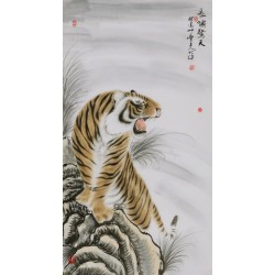 Tiger - CNAG000022