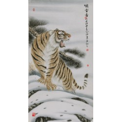 Tiger - CNAG000023