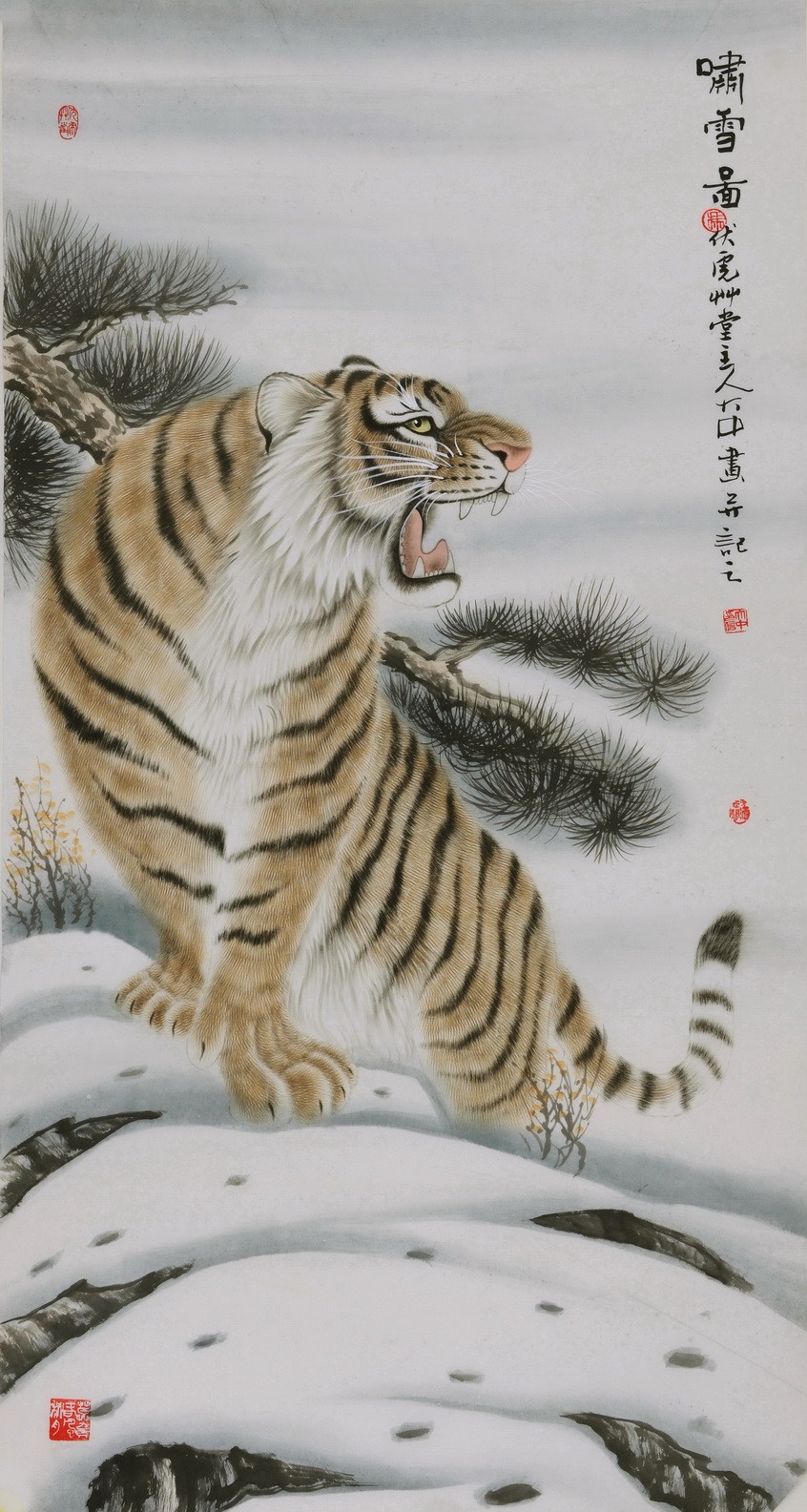 Tiger - CNAG000023