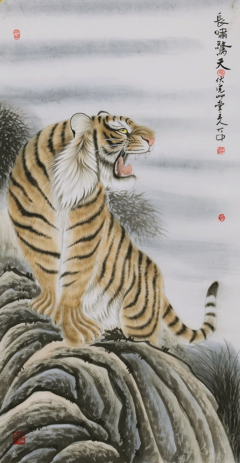 Tiger - CNAG000024