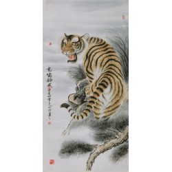 Tiger - CNAG000025