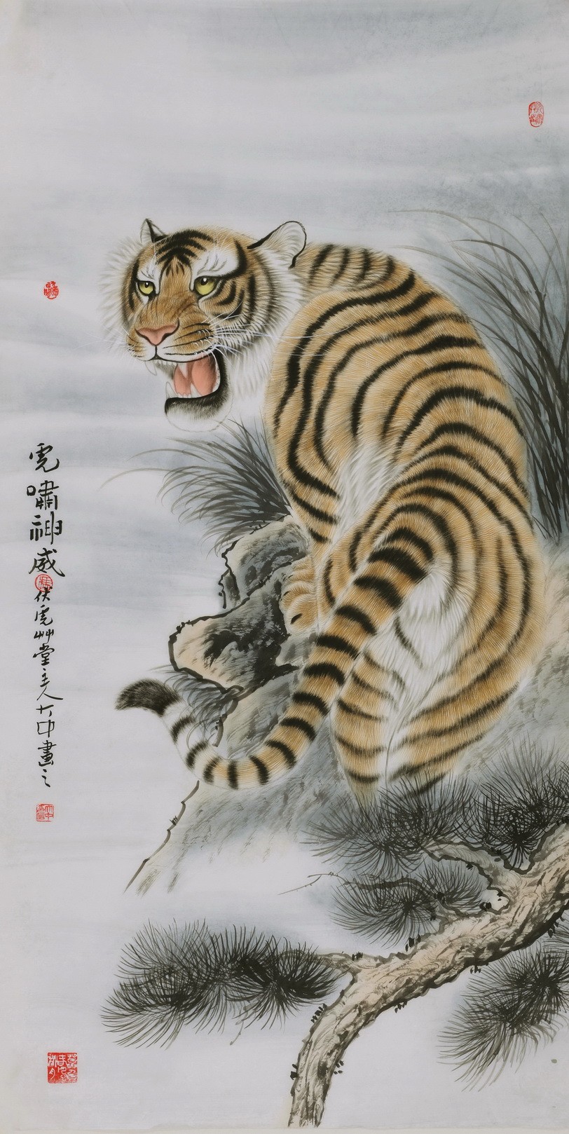 Tiger - CNAG000025