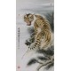 Tiger - CNAG000026